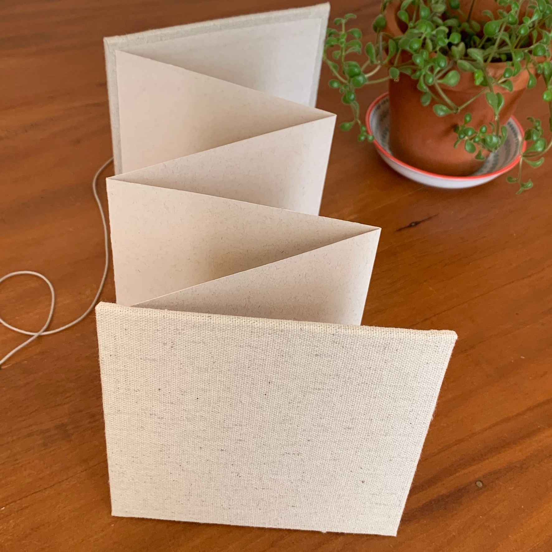 Album Sanfona Para Fotos Polaroid